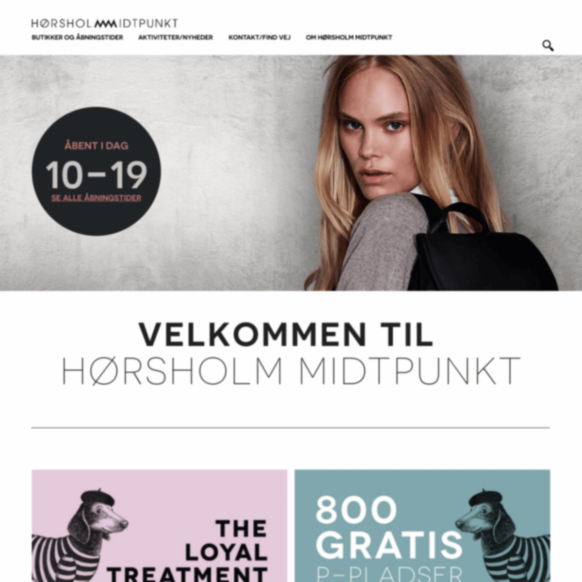 Screenshot of hoersholmmidtpunkt.dk